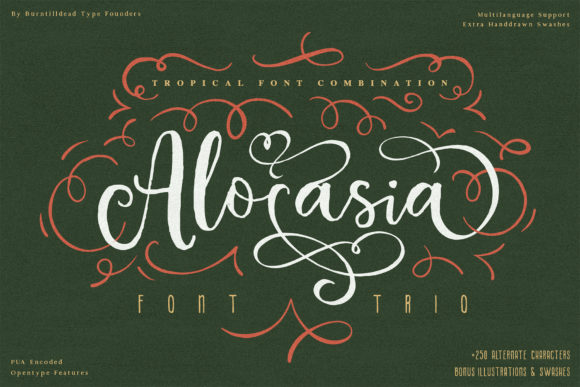 Alocasia: A Trio Font for Makers Who Crave Versatility