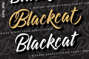 Blackcat: A Vintage-Inspired Font That Elevates Small Business Branding