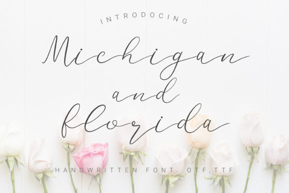 Michigan and Florida: A Delicate Script Font for Scroll-Stopping Brand Content