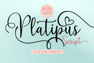 Platipus Script Font: Playful Elegance for Digital Branding